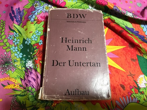 Heinrich mann der - mann, 🌞